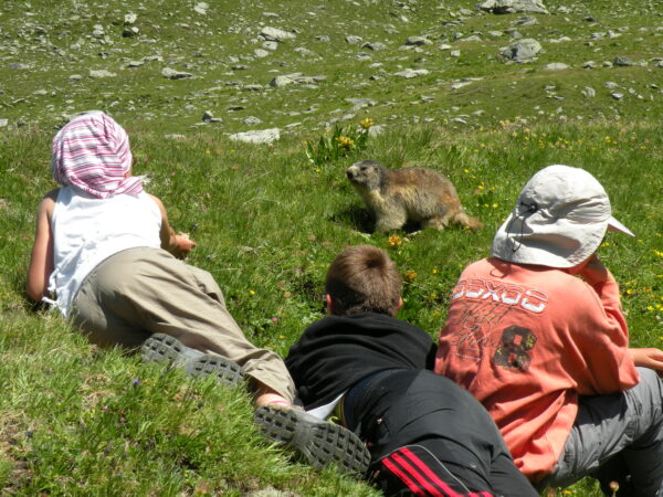 2 . LES CROÉS DE LA MONTAGNE !
